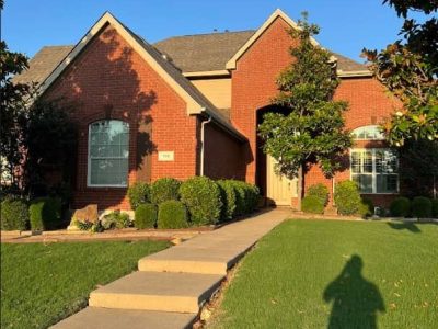 Home Improvement Project